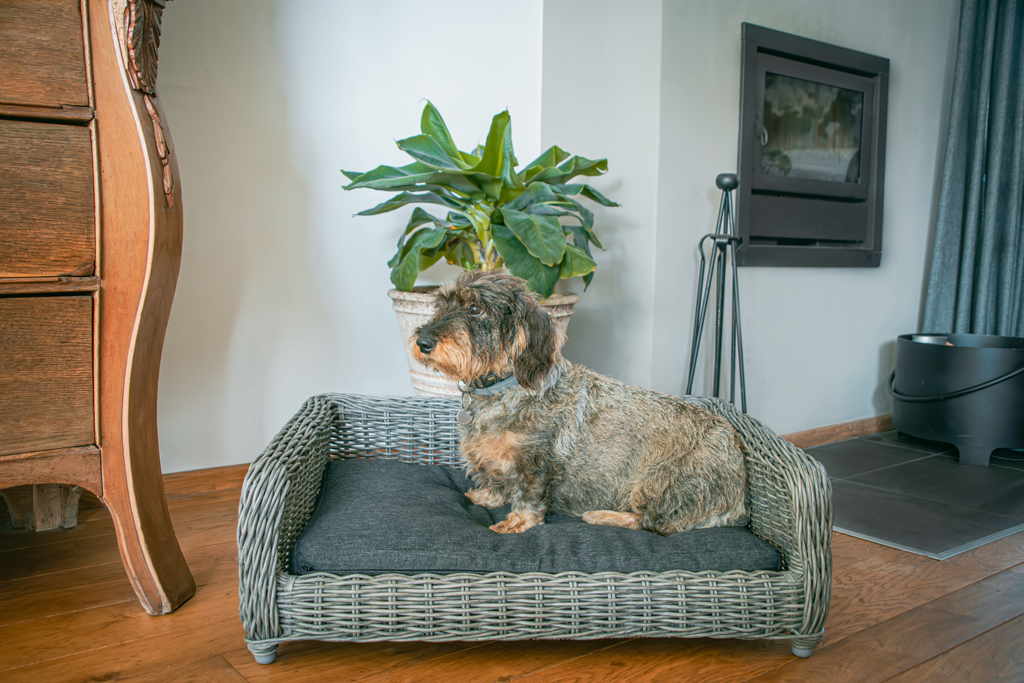 EAN:8716759638518 #2