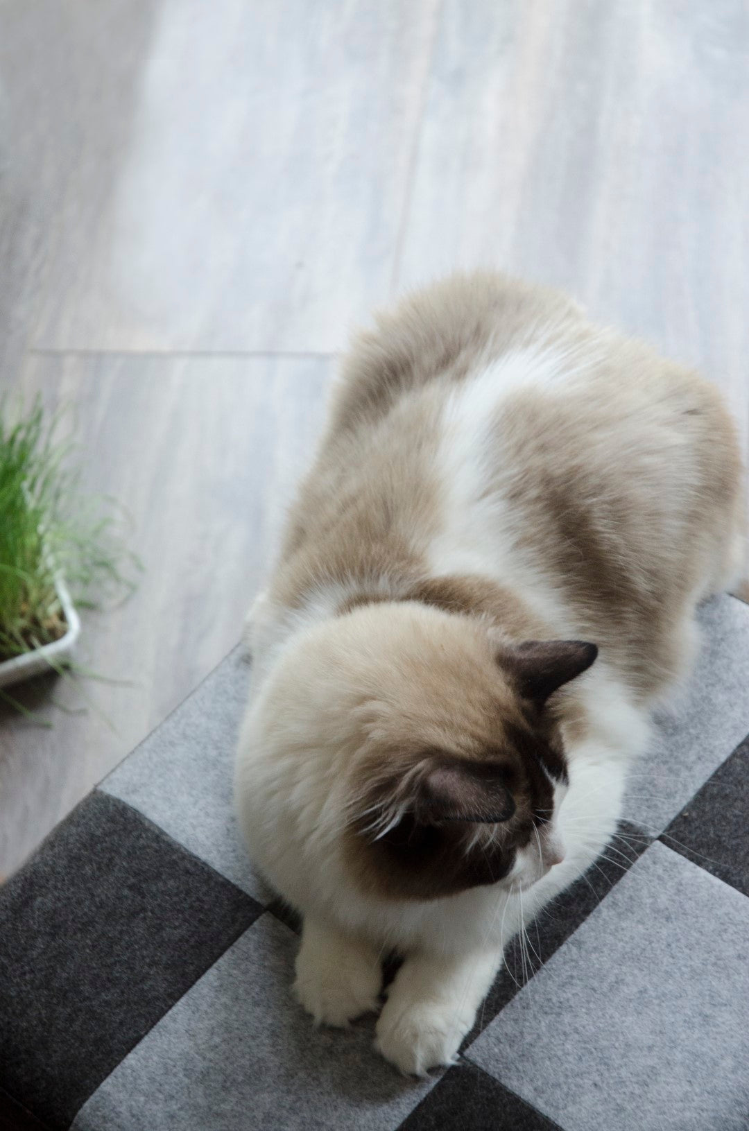 EAN:8716759562332 #3