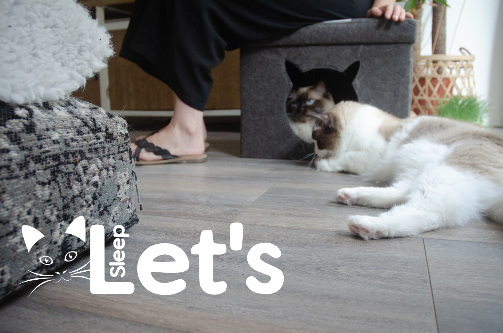 EAN:8716759562332 #4