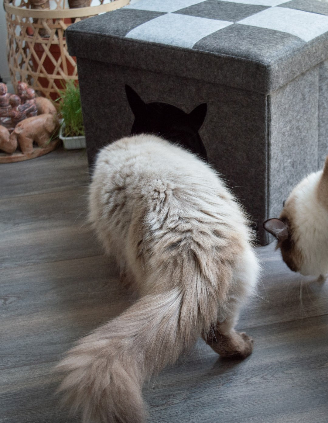 EAN:8716759562332 #5