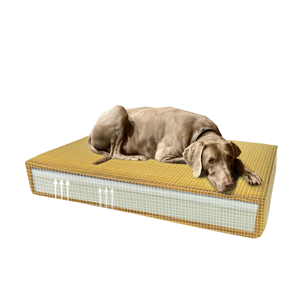 EAN:8713229054144 #2