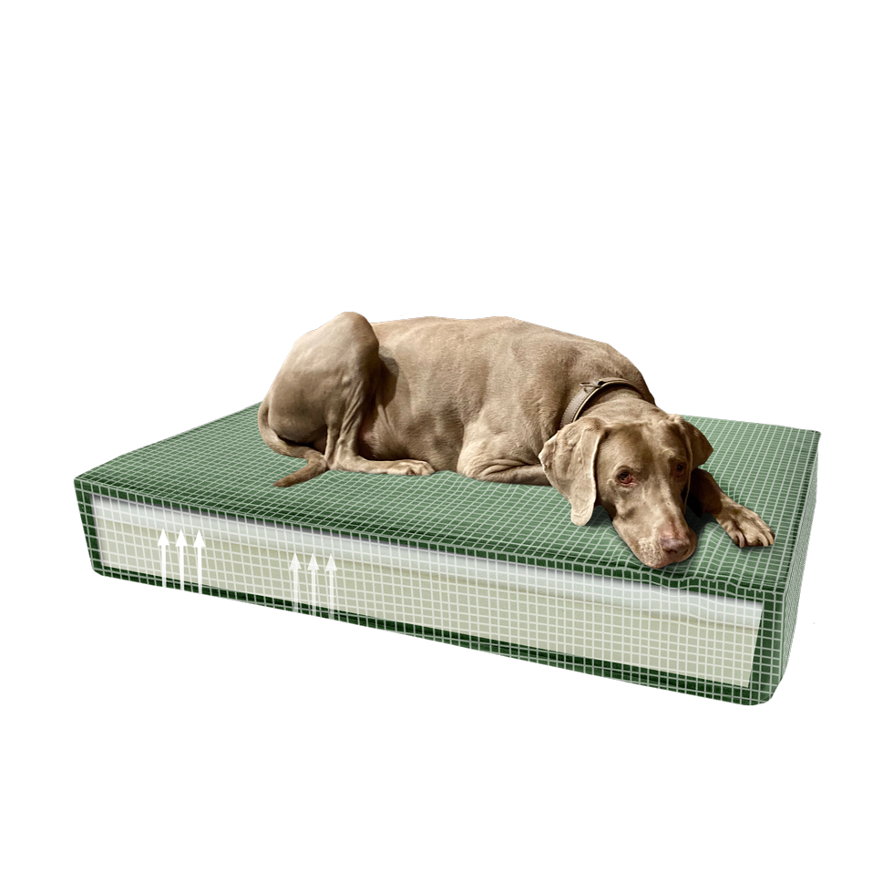 EAN:8713229054175 #4