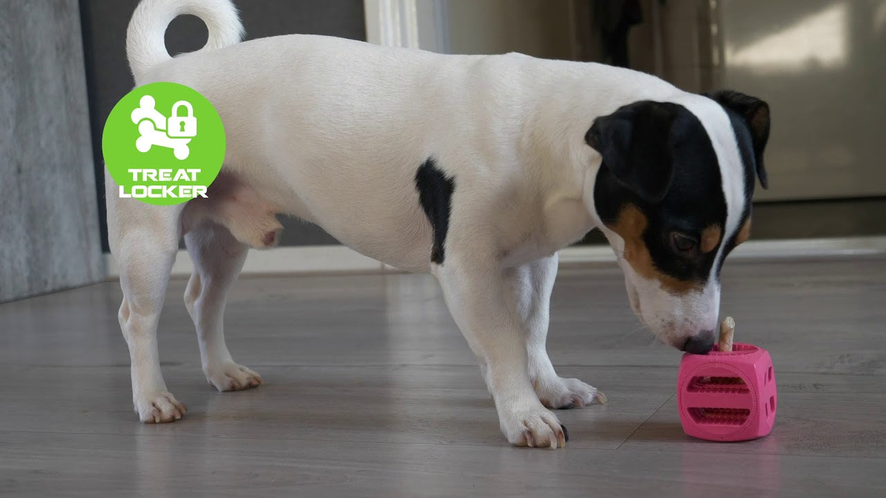 EAN:8716759573499 #3