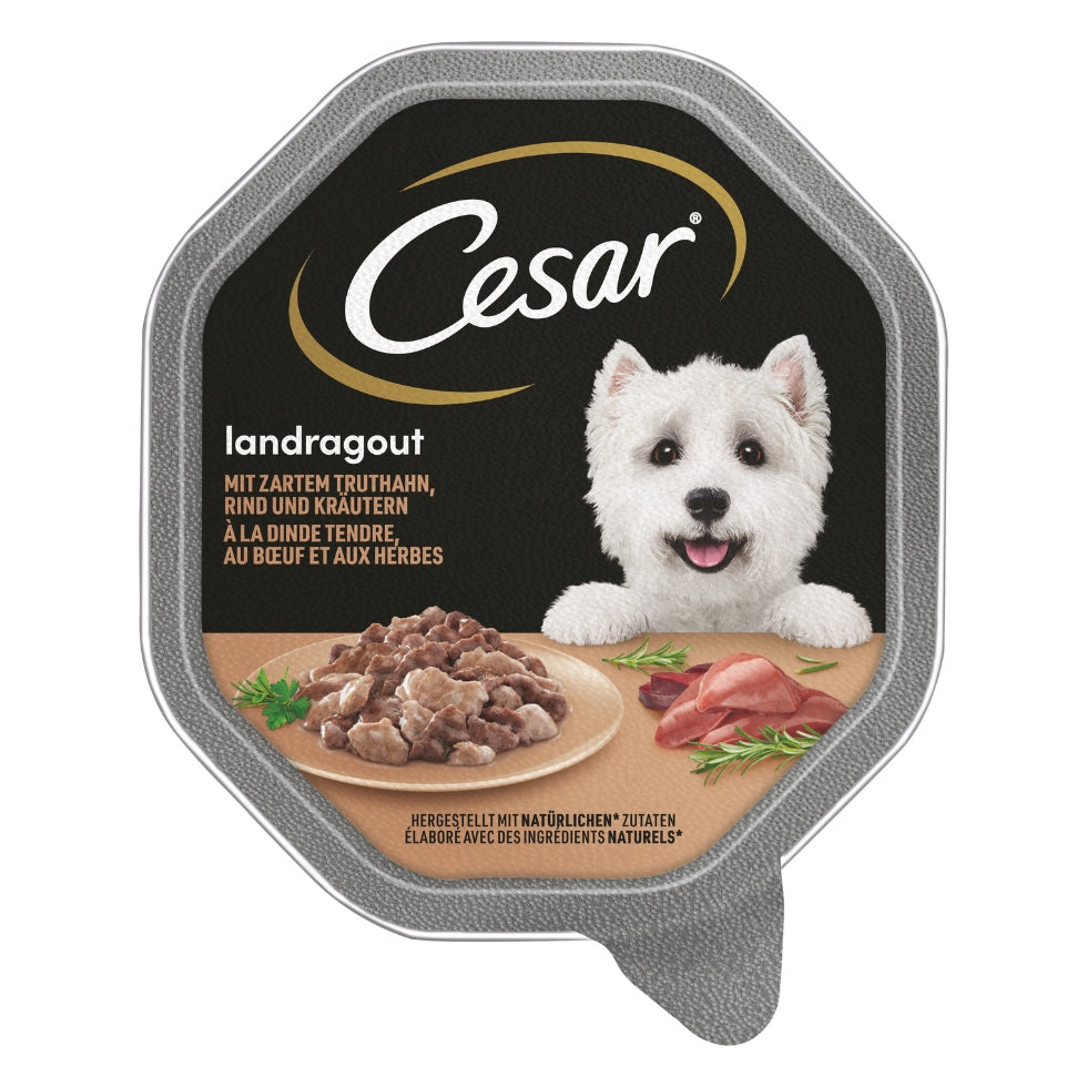 CESAR® Schale Landragout Truthahn & Rind 150g