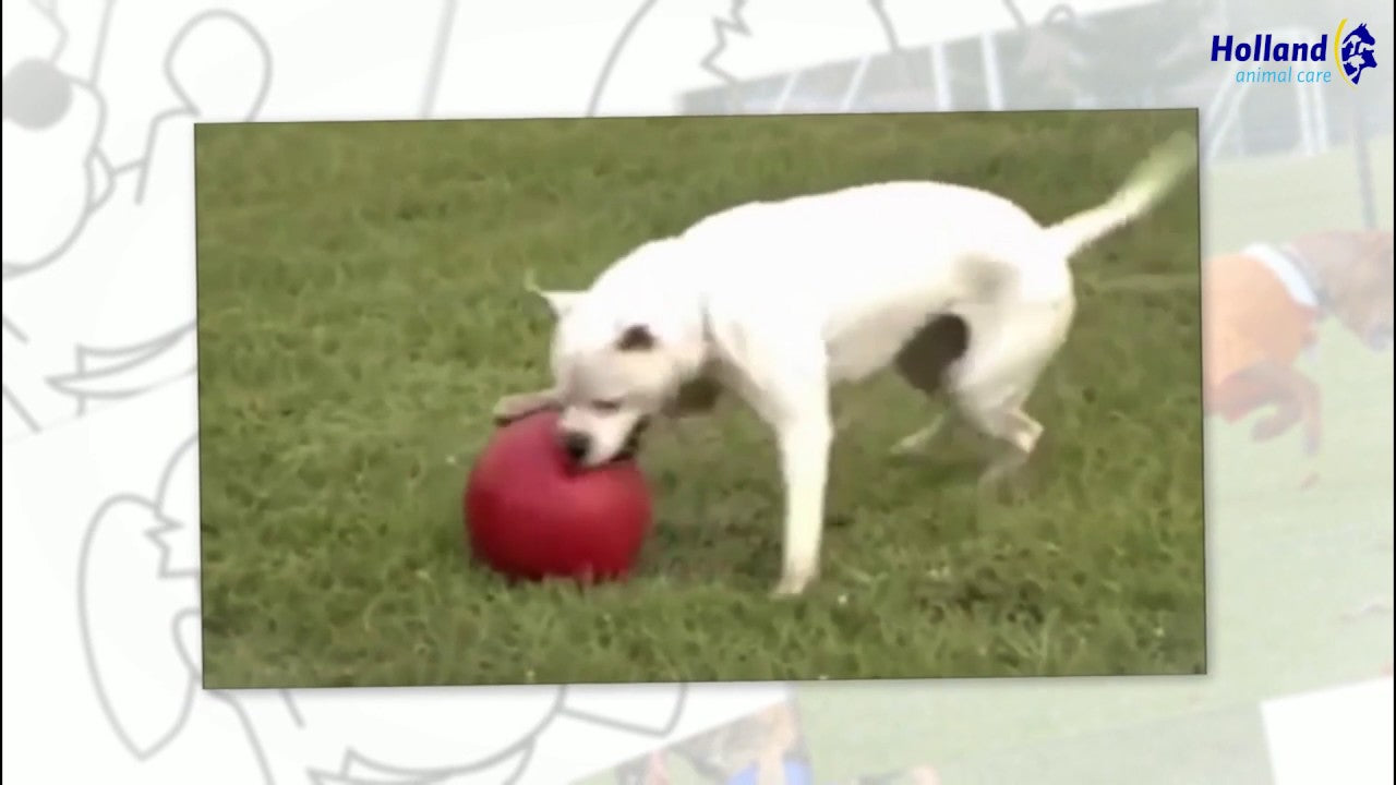 EAN:78816903140122 #4