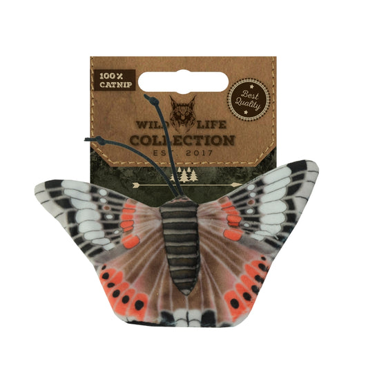 Wild Life Cat Admiral Schmetterling