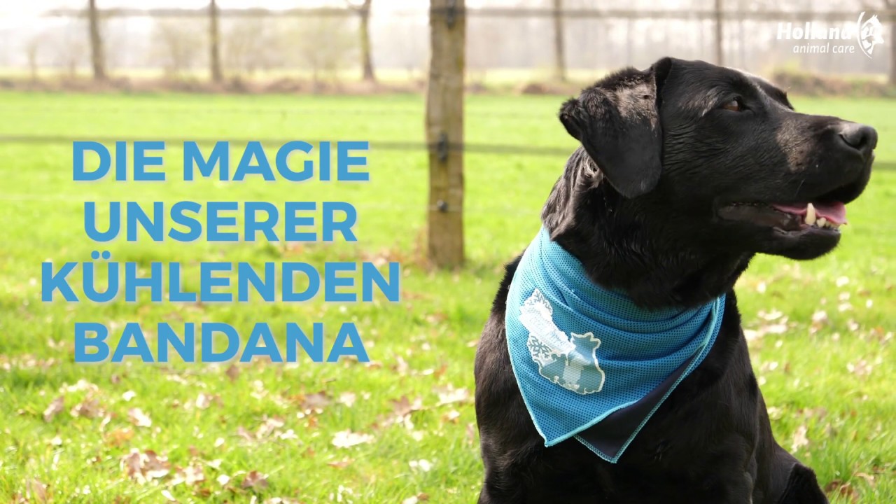 EAN:8716759547728 #5