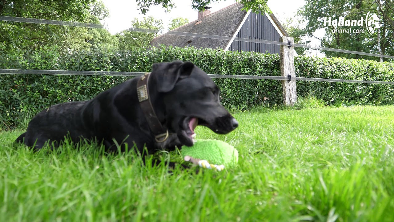 EAN:8716759546172 #2