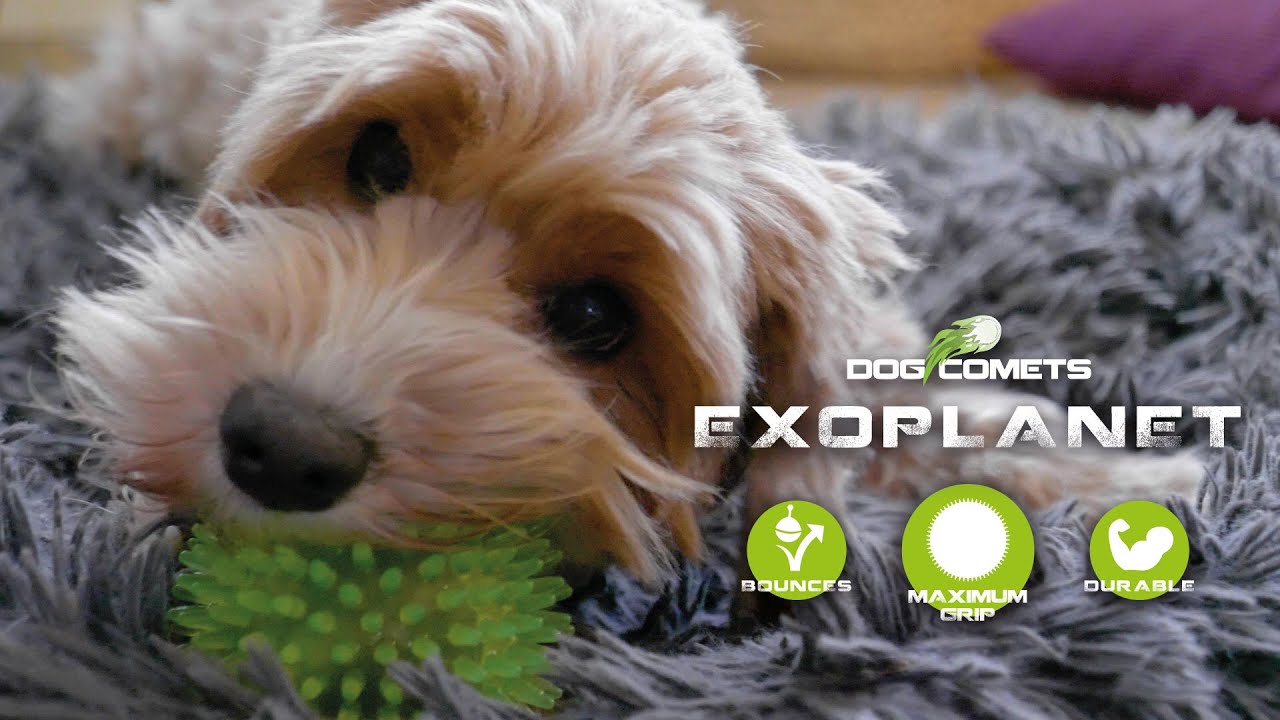 EAN:8716759637429 #3