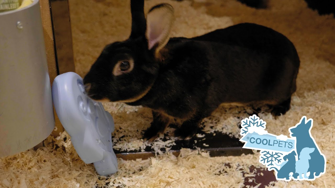 EAN:8716759591912 #2