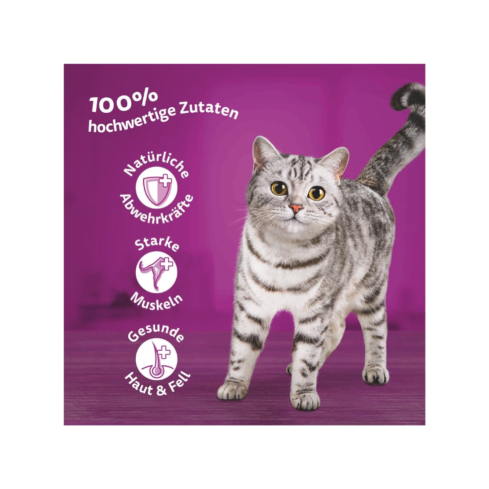 WHISKAS® Multipack Portionsbeutel 1+ Klassische Auswahl 4 Varietäten Rind, Huhn, Lamm, Geflügel in Sauce 12x85g