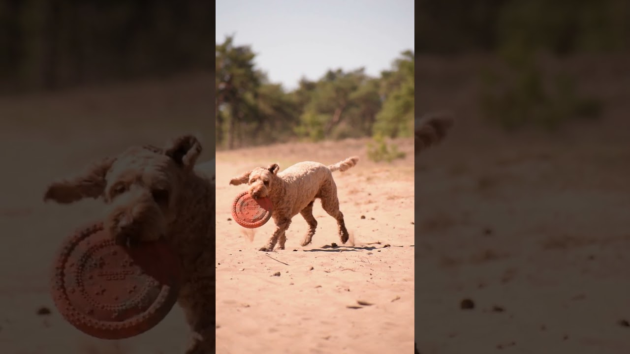 EAN:8716759650893 #2