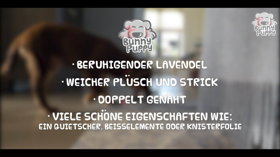 EAN:8716759567214 #2