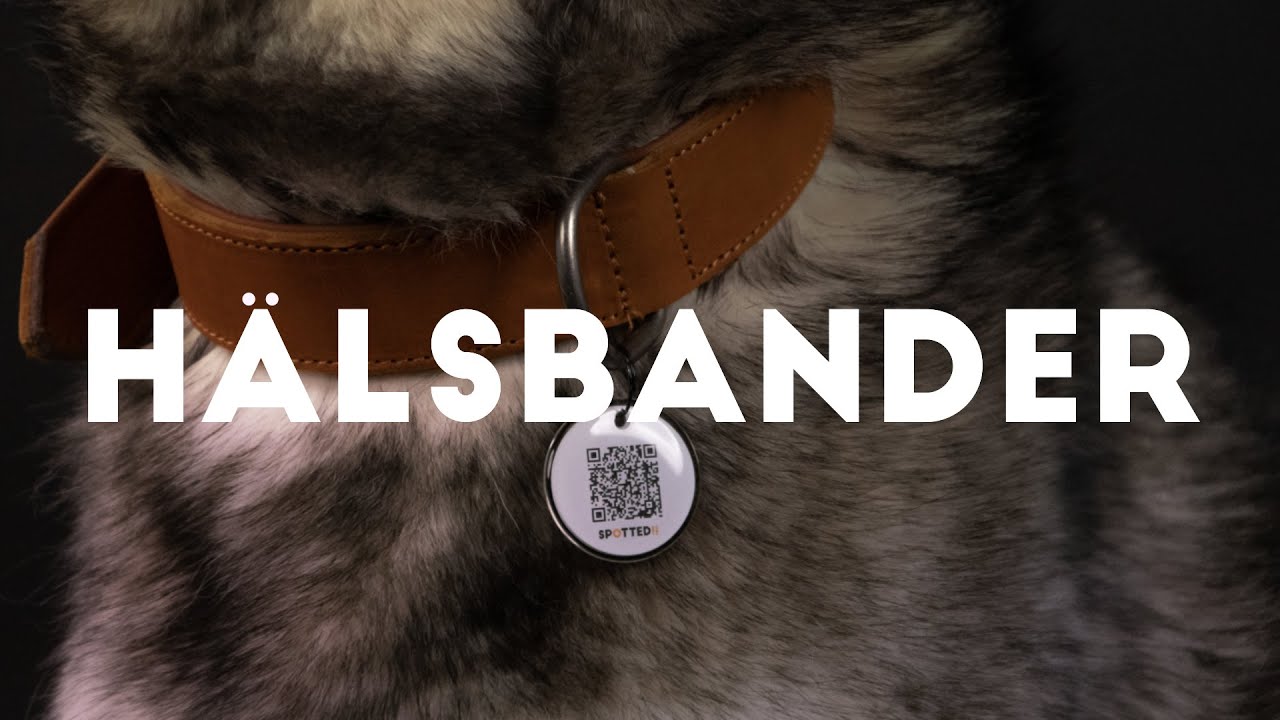 EAN:8716759628410 #2