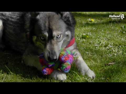 EAN:8716759589667 #2